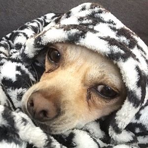 Meet your Posher, Kyle